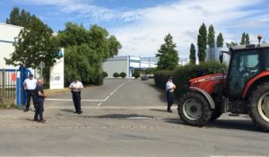 Les agriculteurs déversent de la paille à la laiterie Malo