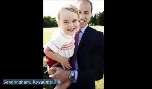 Une nouvelle photo du prince George diffusée pour ses deux ans
