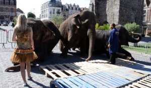 Les éléphants du cirque Medrano s'installent sur la Grand-Place