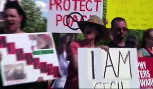 Manifestations devant la maison du dentiste qui a abattu le lion Cecil