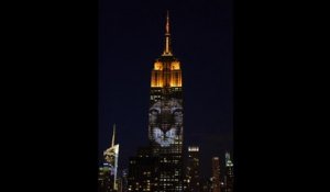 L’Empire State Building rend hommage aux animaux en voie d’extinction