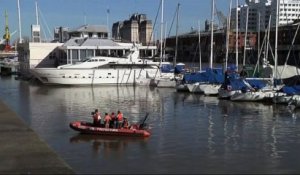 Une baleine fait son apparition dans le port de Buenos Aires