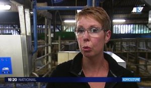 Crise du lait : les éleveurs trompés ?