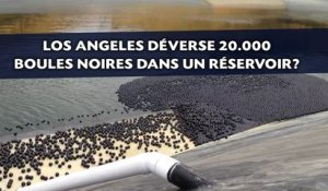 Pourquoi Los Angeles déverse 20.000 boules noires dans un réservoir?
