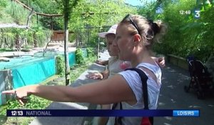 Au parc animalier des Pyrénées, les animaux côtoient au plus près les visiteurs