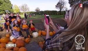 Sans frontières - Londres : Les enfants et la tradition d'Halloween - 2015/10/30