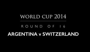Fernando the Hamster - Round of 16 - 2 July: Argentina vs Switzerland