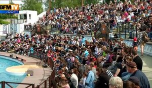 Une semaine dans les parcs d'attraction: plongée dans le décor gaulois du Parc Astérix