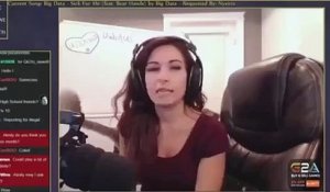 Le Chat Qui Attaque Un Ours Des Montagnes Sur Orange Videos