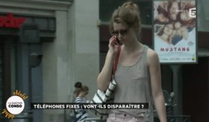 Téléphones fixes : vont-ils disparaître ?