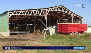 Agriculture : Daniel a abandonné l'élevage pour la production de céréales