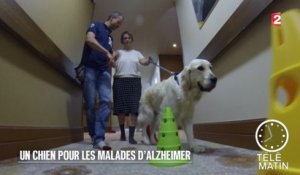 Santé - Un chien pour aider les malades d’Alzheimer - 2015/09/16