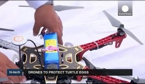 Des drones au secours de tortues