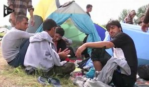 Les réfugiés contournent la Hongrie et passent par la Croatie