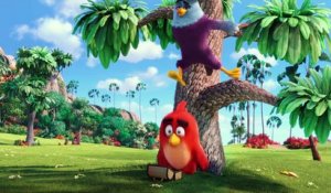 ANGRY BIRDS - Bande-annonce VO
