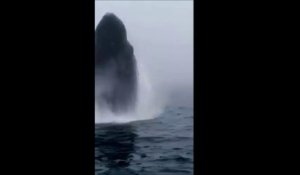 Une baleine fait un saut impressionnant tout près de touristes en bateau