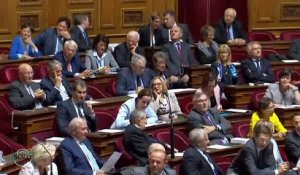 QAG Sénat - Réponse d'H. Désir à G. Jourda sur l'intervention de la France en Syrie