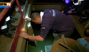 Marineland: à la recherche d'un bébé tortue perdu à cause des inondations
