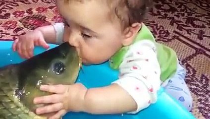 Un Bebe Amoureux D Une Carpe Gros Bisous Sur Orange Videos