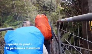 4 Français tombent d'un pont suspendu