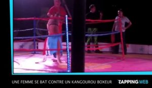 Une femme se bat contre un kangourou boxeur (vidéo)