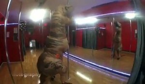 La vidéo WFT du jour ! Un dinosaure fait du pole dance ...