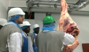 Vendée : L'Institut de formation des métiers de la viande