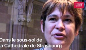 Alsace Champagne-Ardenne Lorraine : Découverte des fouilles archéologiques à la cathédrale de Strasbourg