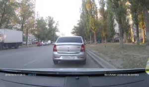 Un pigeon provoque un accident de la route en Russie