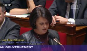 Accueil des gens du voyage: Sylvia Pinel répond à une question au gouvernement