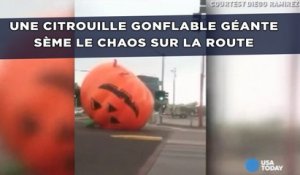 Une citrouille gonflable géante sème le chaos sur la route