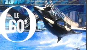 SeaWorld met fin à l'un de ses spectacles d'orque