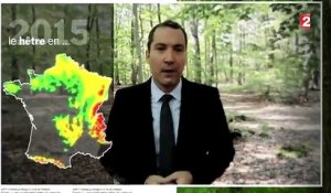 Réchauffement climatique : le cas français