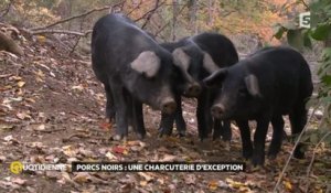 Porcs noirs: une charcuterie d’exception