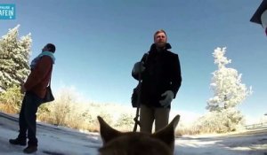 Un chien filme le mariage de ses propriétaires avec une GoPro