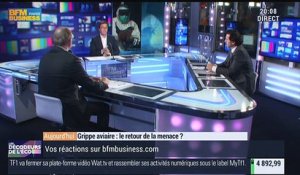 Grippe aviaire : le retour de la menace ? - 25/11