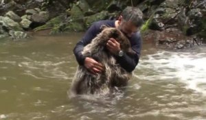 Un homme joue et fait des câlins à un ours brun sauvage