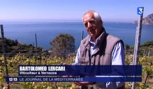 France 3 - Journal de la Méditerranée - Samedi 5 Décembre 2015