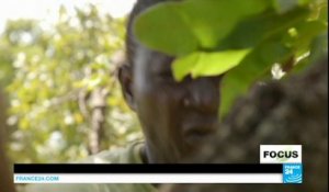 Au Ghana, déforestation et désertification progressent main dans la main