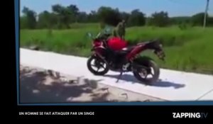 Un motard se bagarre contre un singe pour protéger sa moto