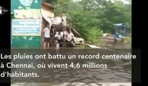 Inondations meurtrières dans le sud de l'Inde