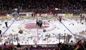 28 815 ours en peluche sur un terrain de hockey