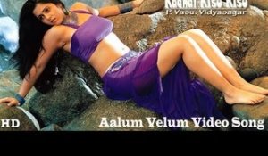 Aalum Velum Video Song - Kadhal Kisu Kisu | Bala | Charmi | Vidhya Sagar