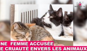 Une femme accusée de cruauté envers les animaux! L’histoire dans la minute chat #64