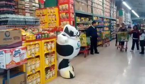 Voici le métier de vache dansante dans les supermarchés