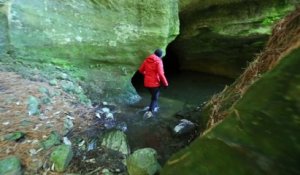 Les grottes de Waitomo GlowWorm