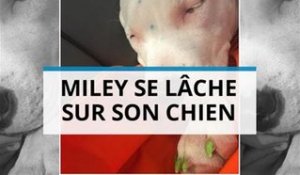 Miley Cyrus, cruelle avec son chien ?