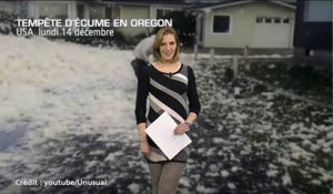 Tempête d'écume en Oregon