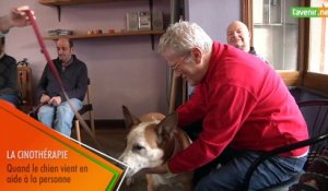 L'Avenir - Cinothérapie : quand le chien vient en aide à la personne déficiente