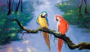 One On One The Parrots E A Presley March 12th 2017 City Winery New York Sur Orange Videos video streaming orange